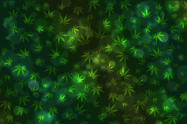 How to Use CBD Oil as Medicine
