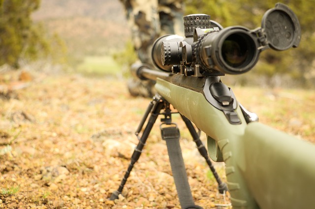 Best thermal scopes for hunting