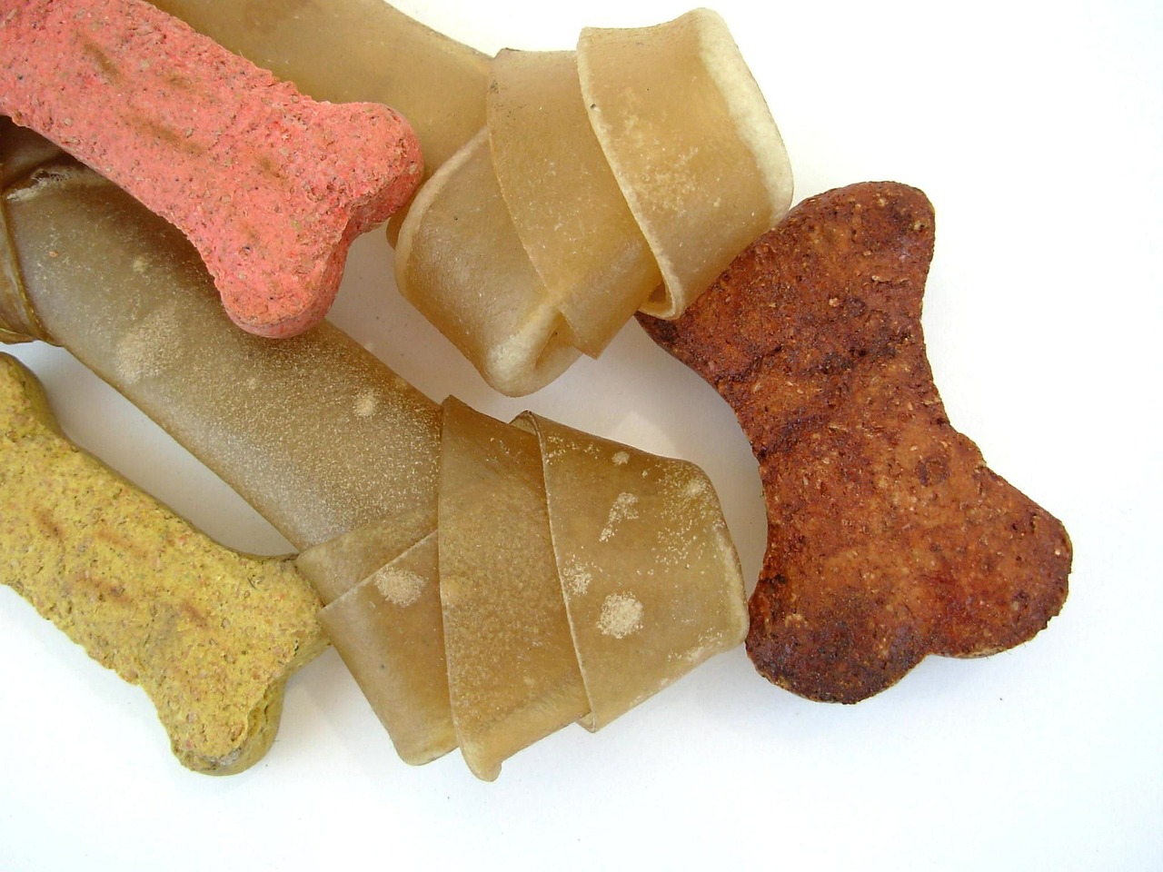 Advantage of grain-free dog food vs classical dog food