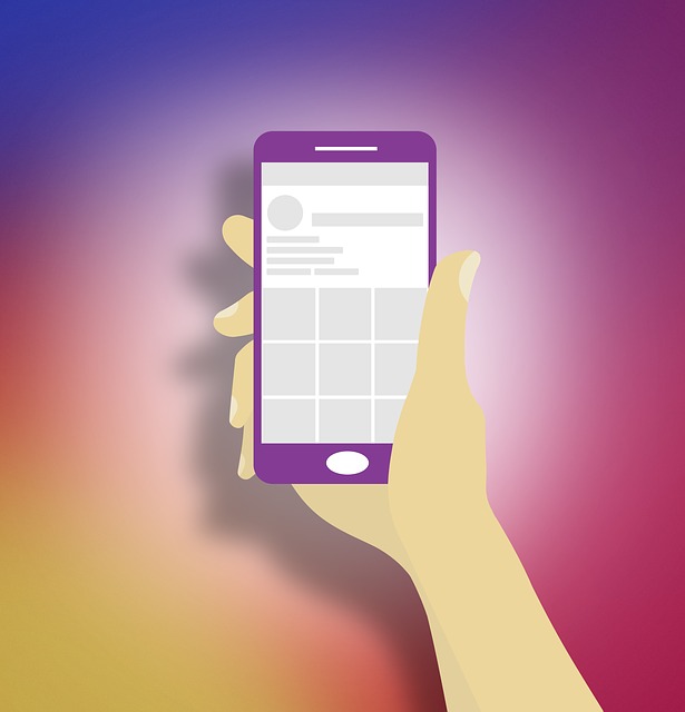 Use A Tool To Check Any Private Instagram Account