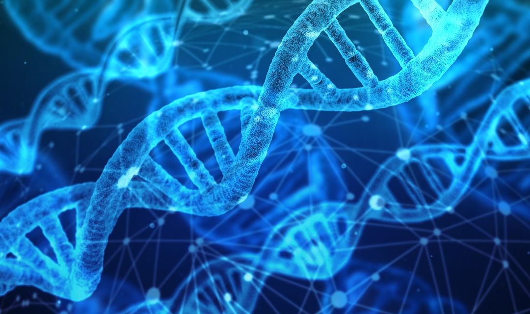What exactly does a genealogist do?