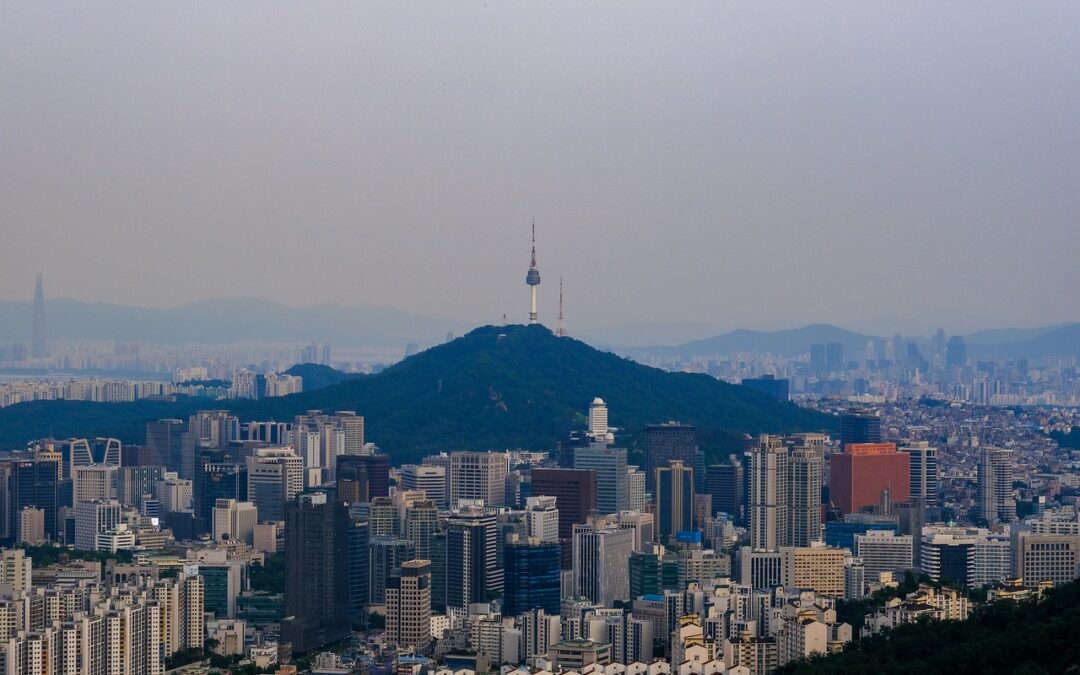 Gangnam After Dark: Street Food Delights